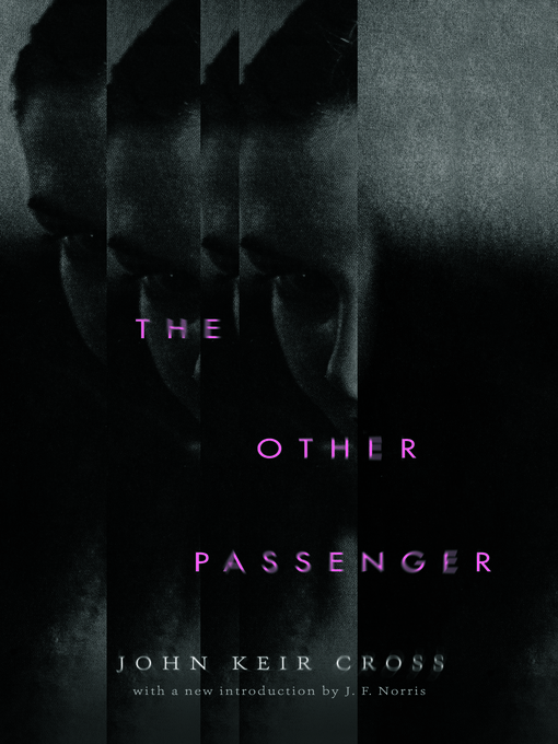 Cover image for The Other Passenger